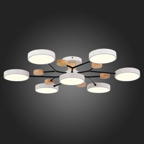 Потолочная люстра EVOLUCE Faema SLE6006-502-07 в Нижнем Новгороде фото 4