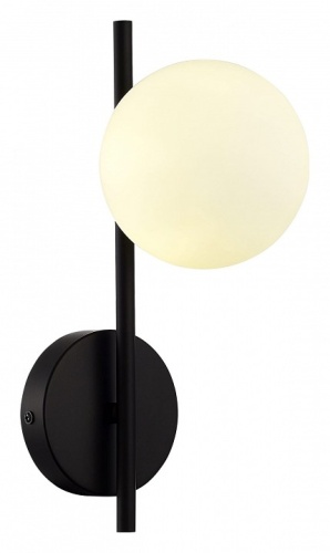 Бра EVOLUCE ENKEL SLE1193-401-01 в Нижнем Новгороде фото 2