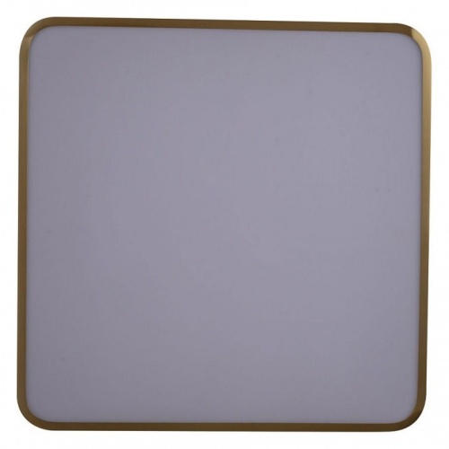 Накладной светильник Zortes Monna ZRS.1209.03 в Нижнем Новгороде фото 2