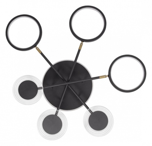 Потолочная люстра Loft it Megan 10164S Black в Нижнем Новгороде фото 4