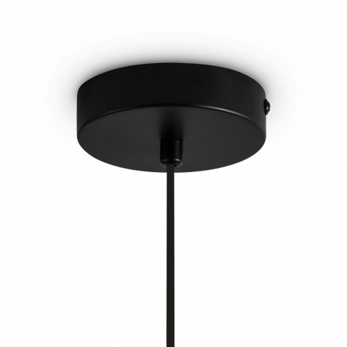 Подвесной светильник Freya Irisa FR5593PL-01B1 в Нижнем Новгороде фото 5