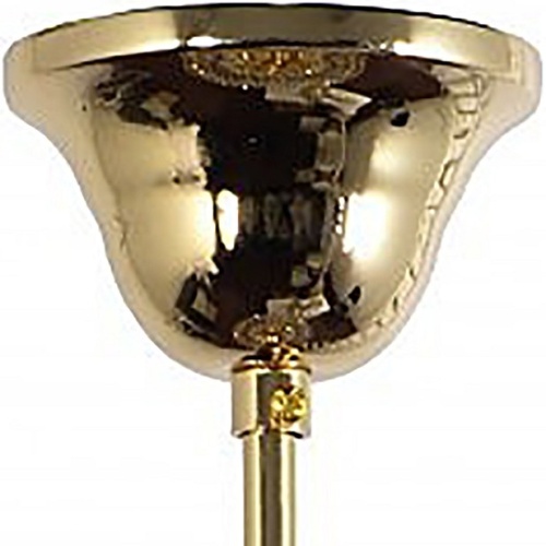 Подвесная люстра Arti Lampadari Ovada Ovada E 1.5.50.100 G в Нижнем Новгороде фото 5