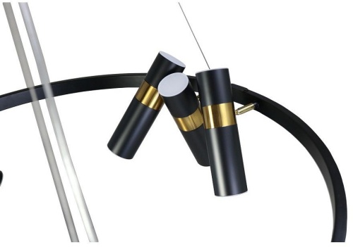 Подвесная люстра Zortes Tweeny ZRS.1828.80 в Нижнем Новгороде фото 12