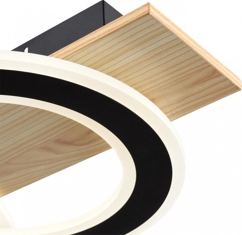 Накладной светильник Lumion PINE 8023/80CL в Нижнем Новгороде фото 3