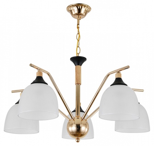 Подвесная люстра Escada Actinidia 2123/5P в Нижнем Новгороде фото 5