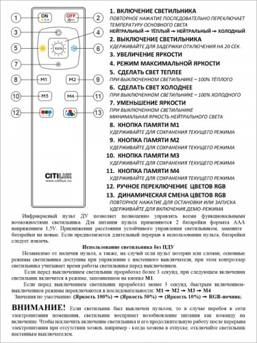 Накладной светильник Citilux Спутник CL734900G в Ревде фото 14