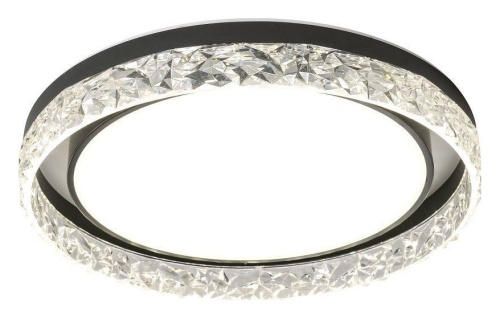 Накладной светильник Zortes Adel ZRS.1200.02 в Нижнем Новгороде