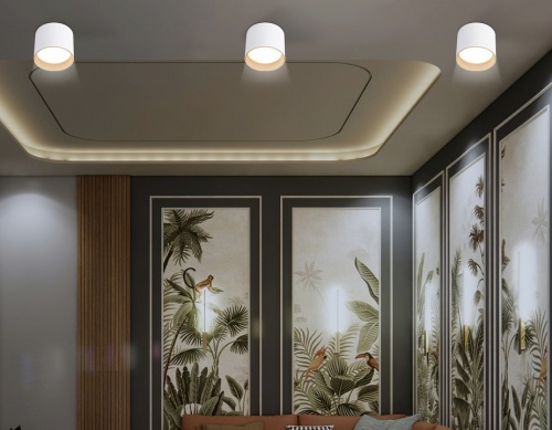 Накладной светильник Ambrella Light TN TN5304 в Нижнем Новгороде фото 5