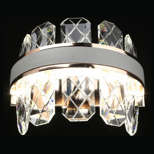 Накладной светильник Aployt Juda APL.032.01.32 в Нижнем Новгороде фото 8