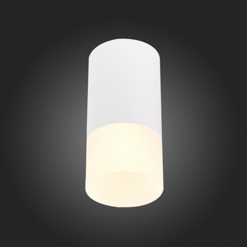 Накладной светильник ST-Luce ST100 ST100.512.01 в Нижнем Новгороде фото 2