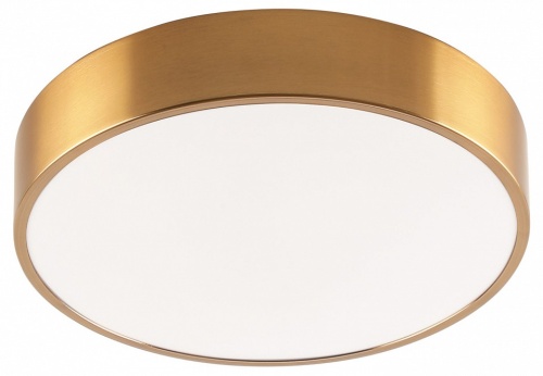 Накладной светильник Zortes Tortty ZRS.02566.48 в Нижнем Новгороде