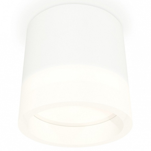 Накладной светильник Ambrella Light XS XS8110001 в Нижнем Новгороде