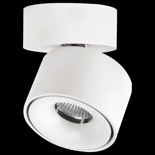 Спот Citilux Стамп CL558010N в Нижнем Новгороде фото 5