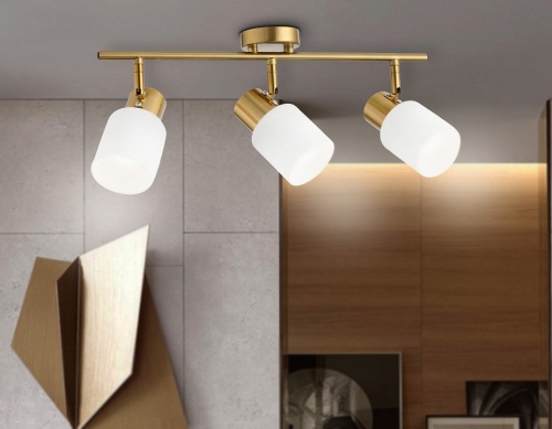 Спот Ambrella Light TR TR3972 в Нижнем Новгороде фото 4