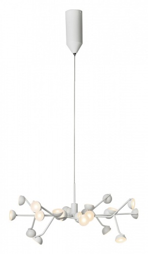 Подвесная люстра Mantra Adn 6261 в Нижнем Новгороде фото 2