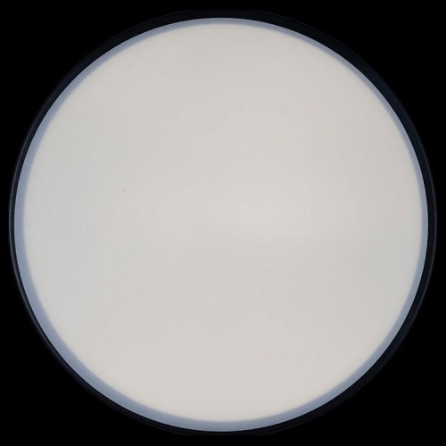 Накладной светильник Loft it Axel 1 10002/12 Black в Нижнем Новгороде фото 2