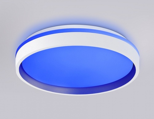 Накладной светильник Ambrella Light FZ FZ601 в Нижнем Новгороде фото 4