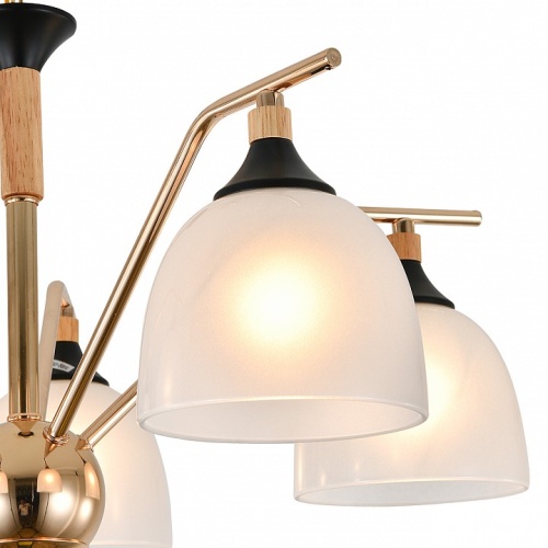 Подвесная люстра Escada Actinidia 2123/5P в Нижнем Новгороде фото 3