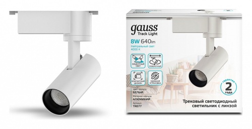 Светильник на штанге Gauss TR TR077 в Нижнем Новгороде фото 3