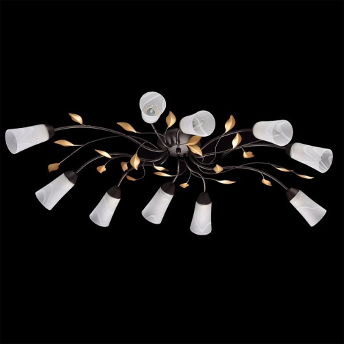 Потолочная люстра MW-Light Восторг 15 242015410 в Нижнем Новгороде фото 12