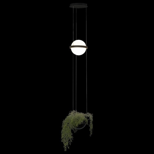 Подвесной светильник Loft it Jardin 10121/B в Нижнем Новгороде фото 4