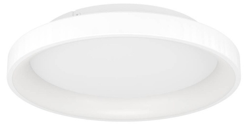 Накладной светильник Eglo LORETELLO 901249 в Нижнем Новгороде