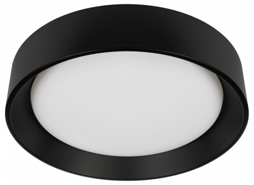 Накладной светильник Loft it Coin 10202 BB в Нижнем Новгороде