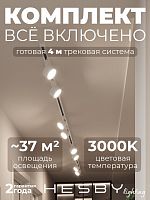 Комплект трековый Hesby Lighting Skylite №13 HSBL_kompl_S013_NI4W3K в Нижнем Новгороде