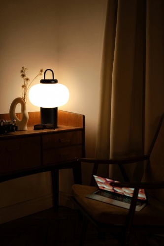 Настольная лампа декоративная Freya Take FR6175TL-L10B в Нижнем Новгороде фото 6