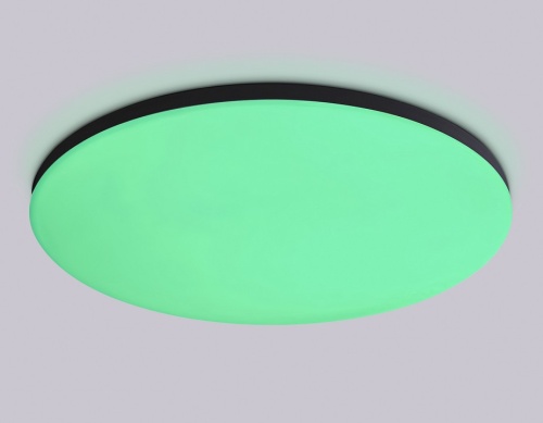 Накладной светильник Ambrella Light FZ FZ2006 в Нижнем Новгороде фото 2