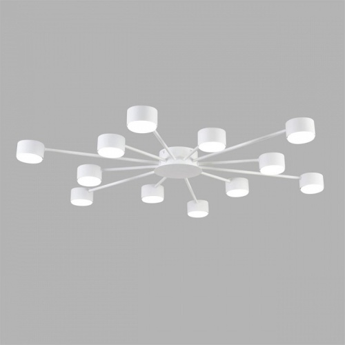 Потолочная люстра Lumion TORINA 8343/12C в Нижнем Новгороде фото 2