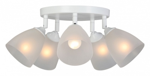 Потолочная люстра Vitaluce V4355 V4355-0/5PL в Нижнем Новгороде