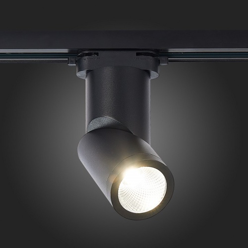 Светильник на штанге ST-Luce ST650 ST650.446.10 в Нижнем Новгороде фото 2