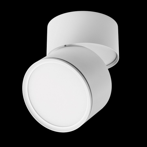 Накладной светильник Lightstar Acuto 215886 в Нижнем Новгороде фото 2