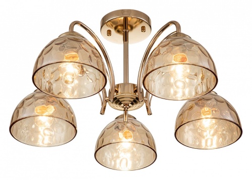 Накладной светильник Escada Mallow 665/5P в Нижнем Новгороде фото 5