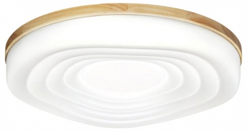 Накладной светильник Sonex Fass Wood 7674/EL в Нижнем Новгороде фото 6