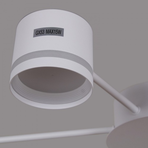 Потолочная люстра 06730-0.3-06 GX53 WT в Нижнем Новгороде фото 3