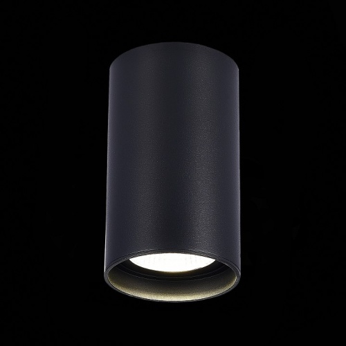 Накладной светильник ST-Luce ST157 ST157.432.20 в Кораблино фото 3