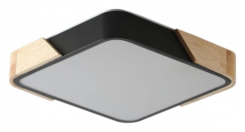 Накладной светильник Zortes Alberro ZRS.01281.60 в Нижнем Новгороде фото 3