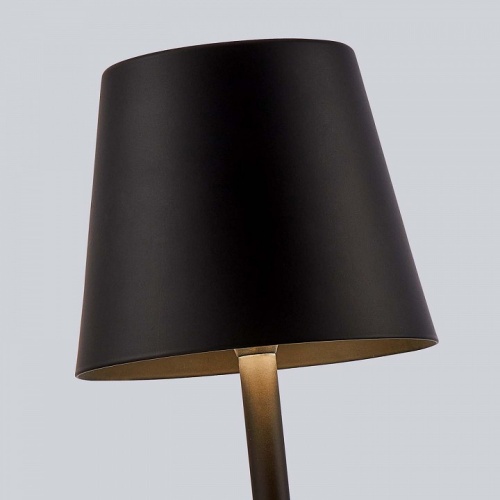 Настольная лампа декоративная F-promo Pyari 4615-1T в Нижнем Новгороде фото 4