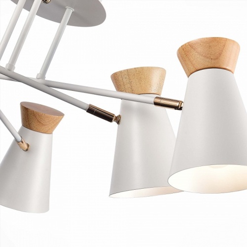 Потолочная люстра EVOLUCE Alfeo SLE1252-502-06 в Нижнем Новгороде фото 7