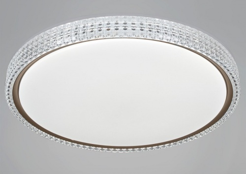 Накладной светильник  25616-0.5-500 GD в Нижнем Новгороде