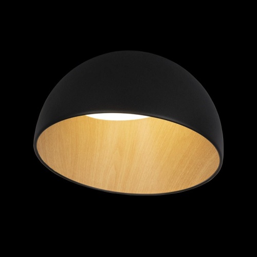 Накладной светильник Loft it Egg 10197/350 Black в Ревде фото 6