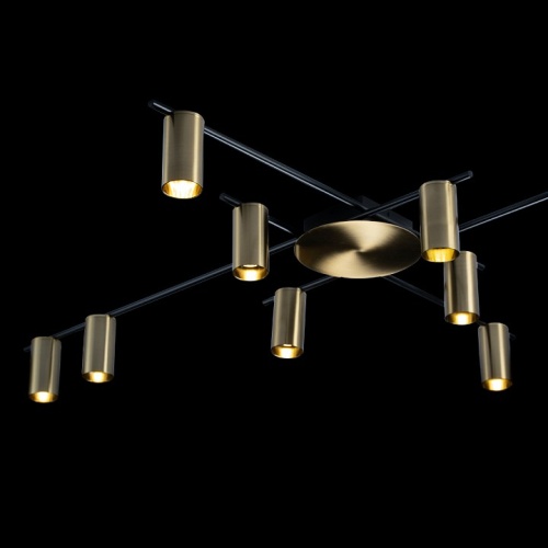 Потолочная люстра Loft it Tribes 8120C-10 в Нижнем Новгороде фото 4