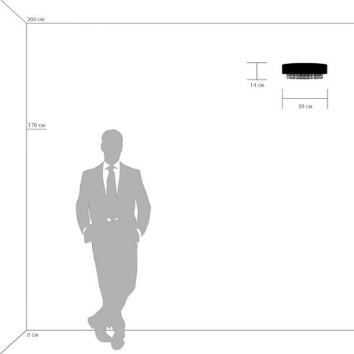 Накладной светильник Lightstar Bezazz 743622 в Нижнем Новгороде фото 5