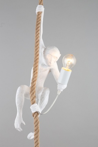 Подвесной светильник Aployt Magali APL.309.06.01 в Нижнем Новгороде фото 8