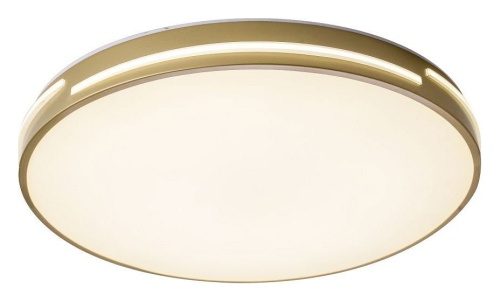 Накладной светильник Zortes Gabby ZRS.90610.50 в Нижнем Новгороде фото 12