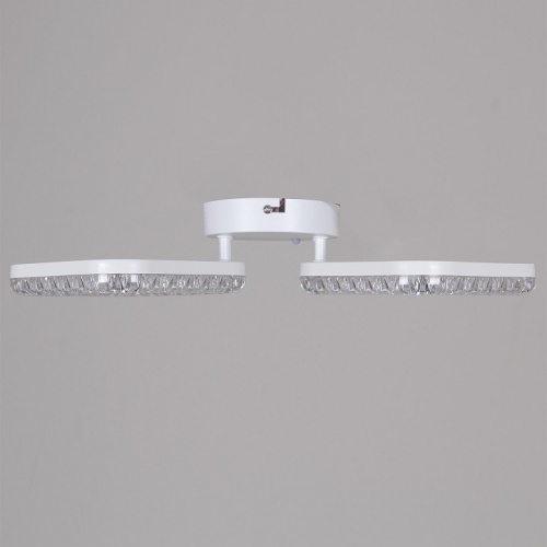 Накладной светильник 09848-0.3-02A WH в Нижнем Новгороде фото 5