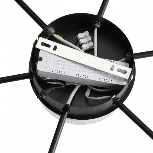 Потолочная люстра Lumion Didana 8236/7CL в Нижнем Новгороде фото 2