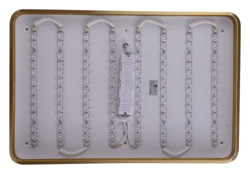 Накладной светильник Zortes Monna ZRS.1209.09 в Нижнем Новгороде фото 10